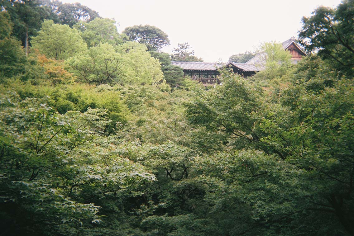 Picture of Tofuku-ji Temple in Kyoto hidden by trees