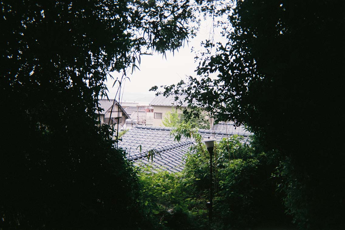 Picture of Naoshima roofs surrounded by trees